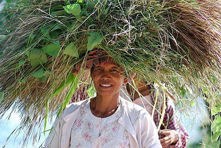 Femme dans la campagne