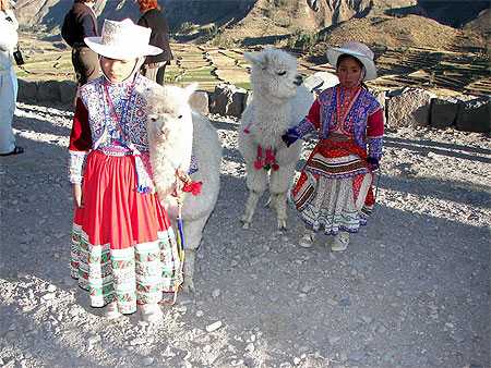 Petites filles aux lamas