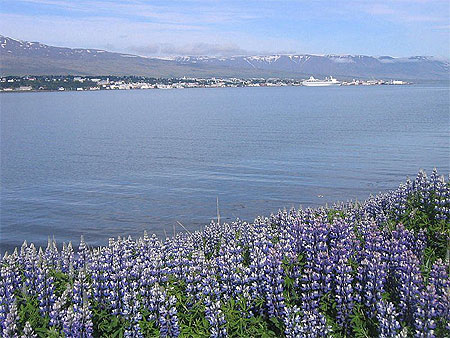 Vue d'Akureyri
