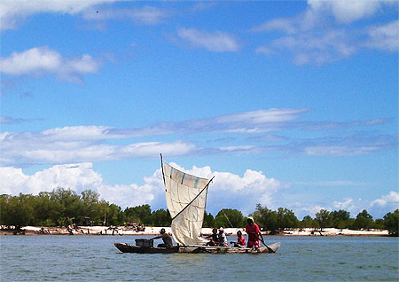 P�cheurs en pirogue � balancier en lisi�re de la mangrove 