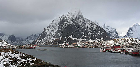 Reine