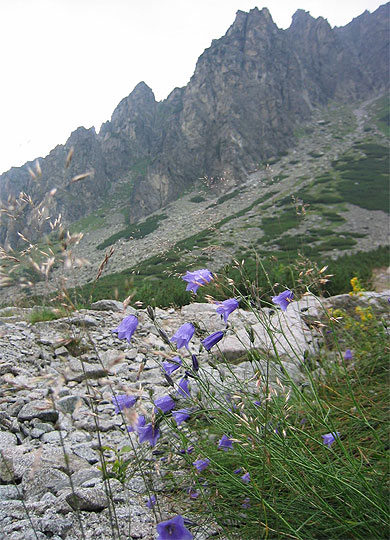 Les Hautes Tatras