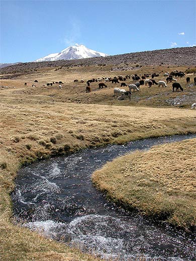 L'altiplano Andin du Chili