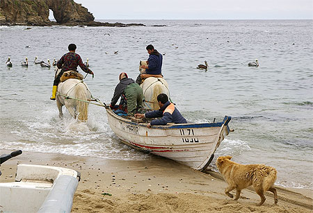 Mise � l'eau d'une barque de p�che