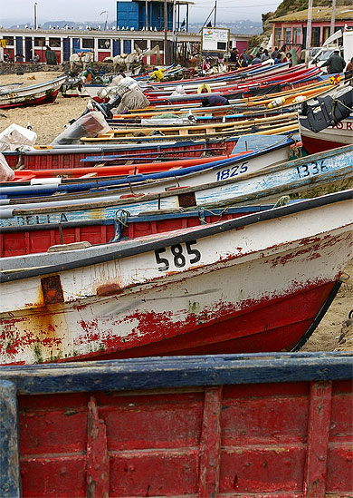 Barques de p�che � Horcon