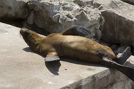 Bronzage � San Antonio