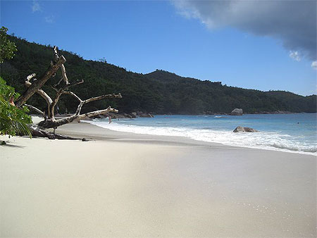 Iles