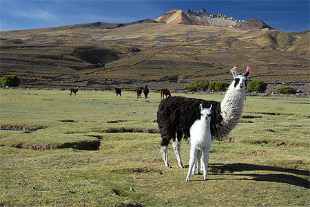 En famille