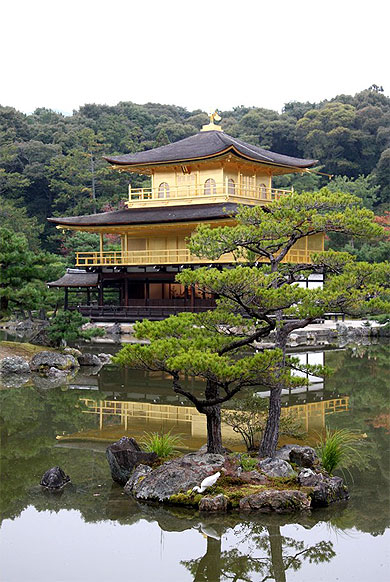Reflets du pavillon d'or