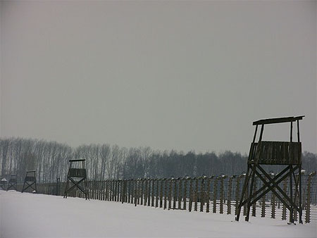 Birkenau