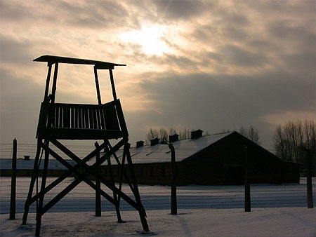 Birkenau