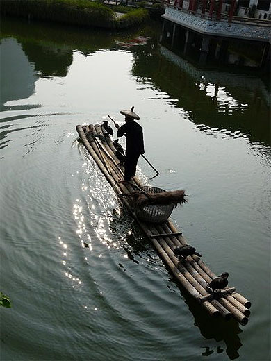 P�cheur avec ses cormorans