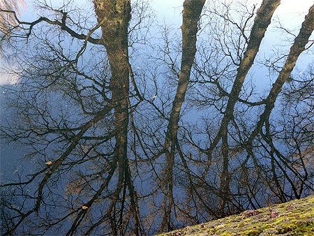 Reflets