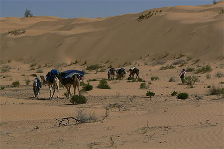 Randonner dans le grand erg oriental