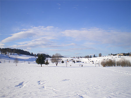 Circuit du Bois Dondon