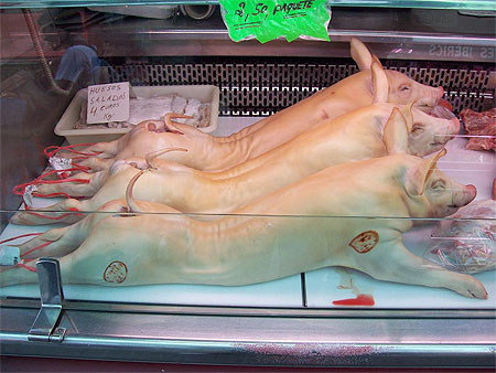 Les trois petits cochons !