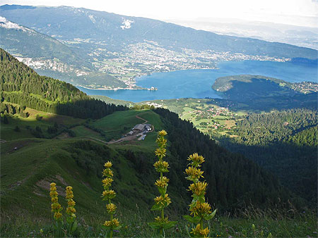La tournette