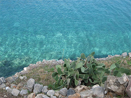 Bleu turquoise