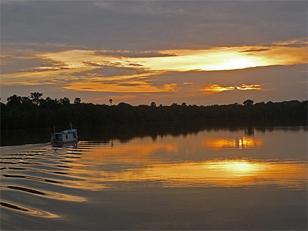 Lever de soleil sur l'amazone