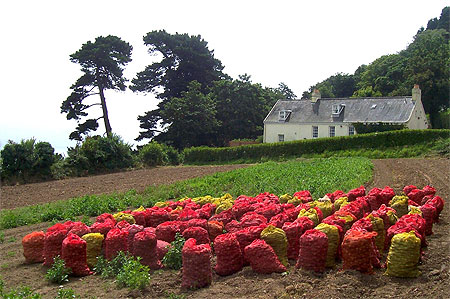 L'affaire est dans le sac