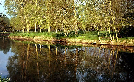 Reflets color�s