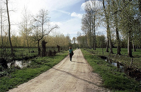 Un chemin entre deux conches