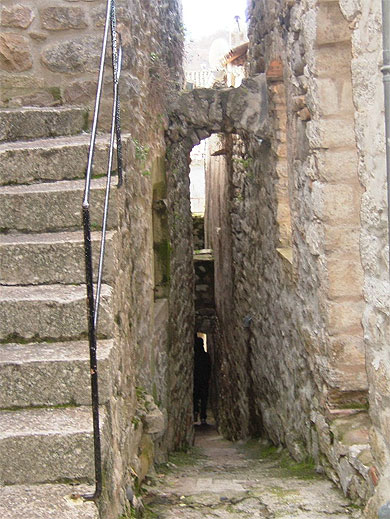 "Ruelle des Puces"