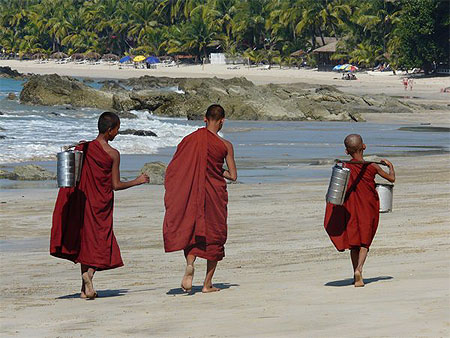 Moinillons sur la plage