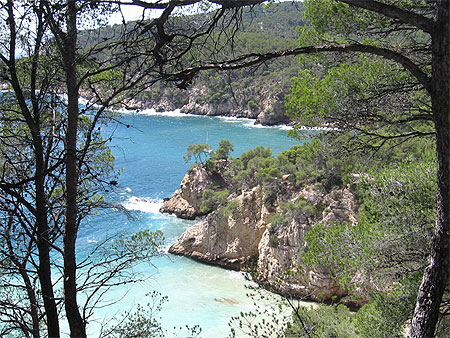 Magnifique nature