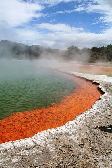 Champagne pool