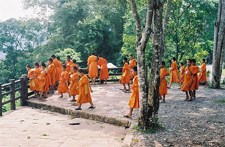 Une sortie au parc national de Khao Yai