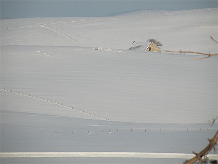 Petite maison surgit de la neige