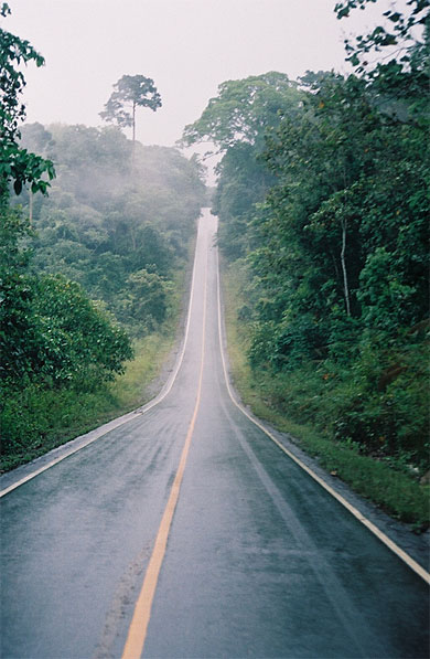 Route qui traverse le parc national de Khao Yai sous la pluie