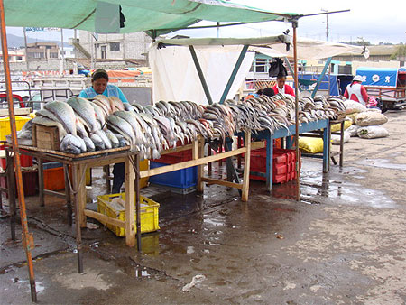 Vente de poissons sur le march�