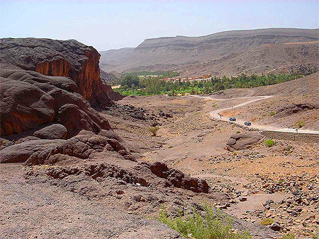 Oasis de Fint
