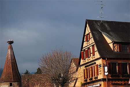Riquewihr