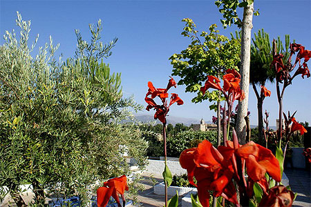 Jardin de la mosqu�e de L'albaicin