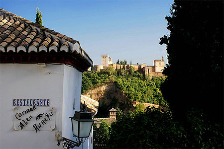 Aper�u sur l'Alhambra