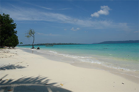 Mar�e haute � Havelock