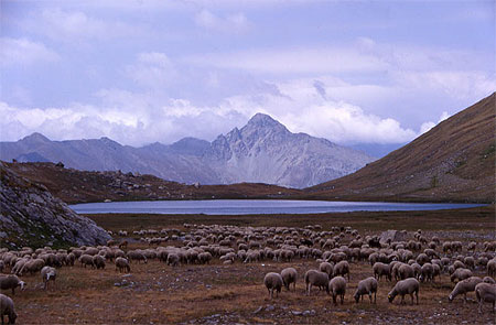 Queyras