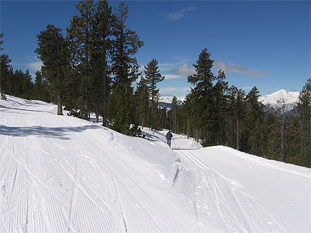 Pistes de ski de fond
