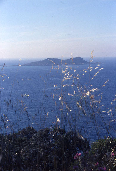 Littoral
