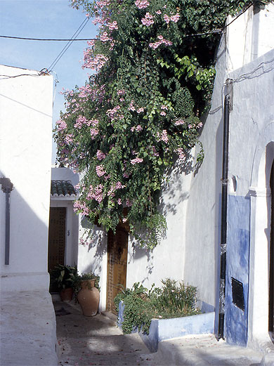 La casbah des oua�das, au gr� de la promenade
