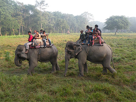 Tour d'�l�phants