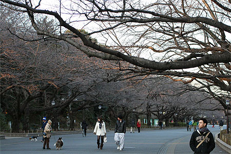 Ueno
