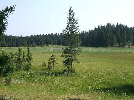 Parc National de Durmitor