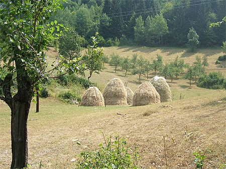 Parc National de Durmitor