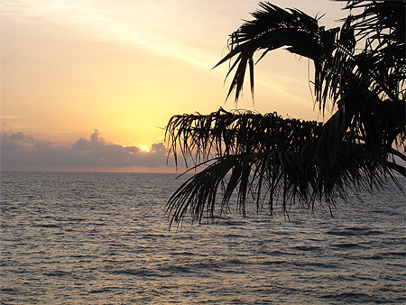 Coucher de soleil