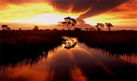 Couch� de Soleil dans le Delta