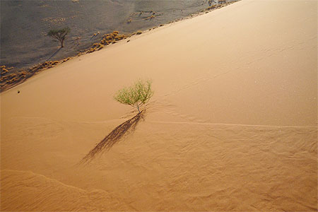 Dune 45 la plus grande de toutes (350m)